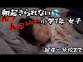 朝起きられない💦小学1年生女子【起きてから登校まで】