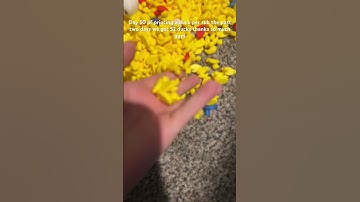 Day 50 of printing a duck per sub #subscribe #3dprinting #thankyouforwatching #duck