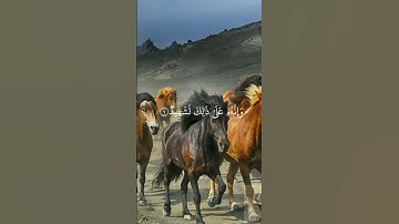 سورة العاديات  #قرآن #سورة_العاديات #آيات #ايات_قرانيه_قصيره