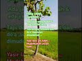 Perjalanan Hidup & Doa – Sholawat Yasir Lana di Tengah Sawah #renungan #muhasabah #kajian #sholawat