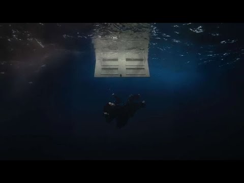 BIRDS OF FEATHER SPEED UP