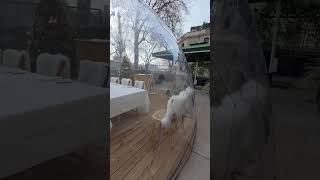 Transparent Dining Dome at a Parisian Restaurant