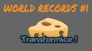 TRANSFORMICE - World Records #1