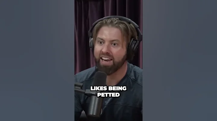 Mind Blowing  The Unbelievable Intelligence of Octopuses Revealed