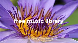 Water Lily - The 126ers / Free Music Library / Free Music to Use