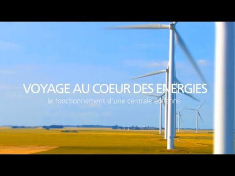 Video: Energia edf este bună?