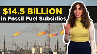 Fossil fuel subsidies cost Australian governments $14.5 BILLION