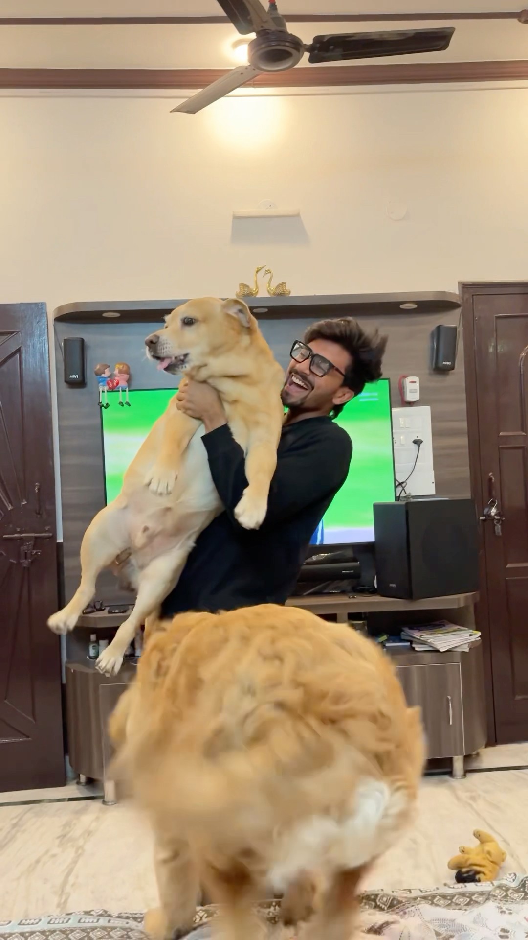 India jeet gayi??❤️ #shorts | Anant Rastogi