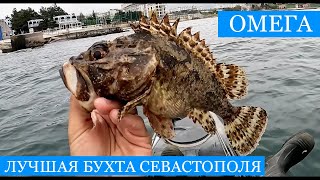 видео: ЛУЧШАЯ бухта Севастополя! 3 дня на Омеге или что можно поймать в Черном Море на наживку с пресняка?? картинка: ЛУЧШАЯ бухта Севастополя! 3 дня на Омеге или что можно поймать в Черном Море на наживку с пресняка??