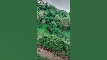 رحماك يومئذٍ يارب بصوت القارئ الشيخ عامر الكاظمي ❤
