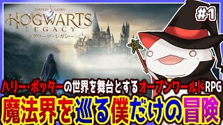 【 #ホグワーツレガシー 】魔法使いオオサンショウウオ！！！ #1 【両生類系人外VTuber/半崎ウイネコ】