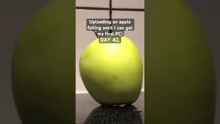 Uploading an apple falling until I can get my first PC! DAY 42. #shorts
