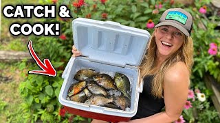 We Found a HUGE Bream Bed! GIANT Bluegill SMACKDOWN!!!! CATCH & COOK SPICY Fish!!!!
