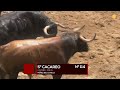 Sorteo toros de Nuñez del Cuvillo en Sevilla, viernes 6 de mayo 2022