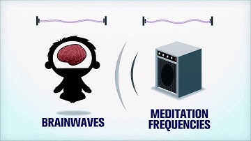 What is the Brain Evolution System?