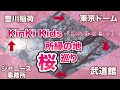 KinKi Kidsに【所縁】あるところの桜が咲いてます/『コ・ハ・ル・ビ・ヨ・リ』