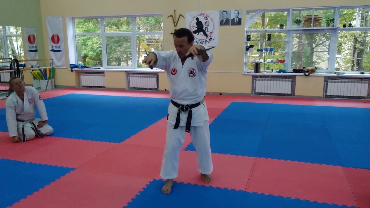 Hamahiga no sai / part of kata / Sensei Dell Hamby about hip movie