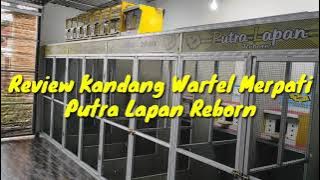 Review Kandang Wartel Merpati Putra lapan