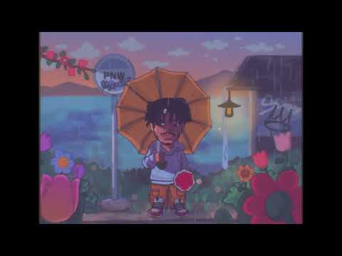 KOTA the Friend - PNW (Visualizer)