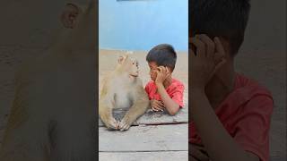 Sokyaa Vs Mirror Challenge So Funnymirrorchallenge monkeyfun sokyaa virallaughs animalshorts