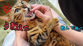 旦那さんのお薬の飲ませ方が気に入らず激怒するベル様