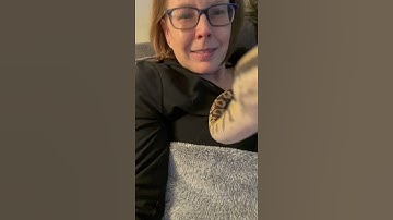 Ball python Andromeda being his sweet self #ballpython #snek #snakes #reptiles  #pythons