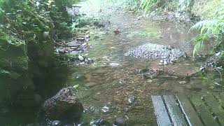 IMAG0347