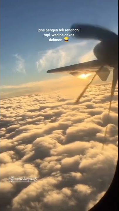 Story' naik pesawat terbaru #storywa #shorts