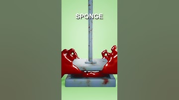 Sponge Vs Hydraulic Press #3danimation #3dart #blender3d #blenderanimation