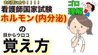 看護師国家試験に必ず受かる！ホルモンの目からウロコの衝撃的な覚え方をご紹介！！解剖生理学