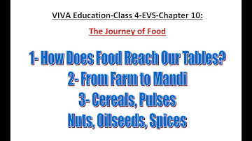 VIVA Education-Class 4-EVS-Chapter 10:- The Journey of Food