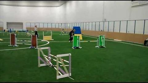 Austen agility