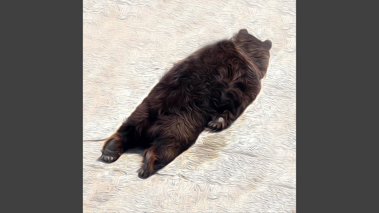 Kitty adlı videoyu YouTube'da izle Kitty adlı videoyu YouTube'da izle