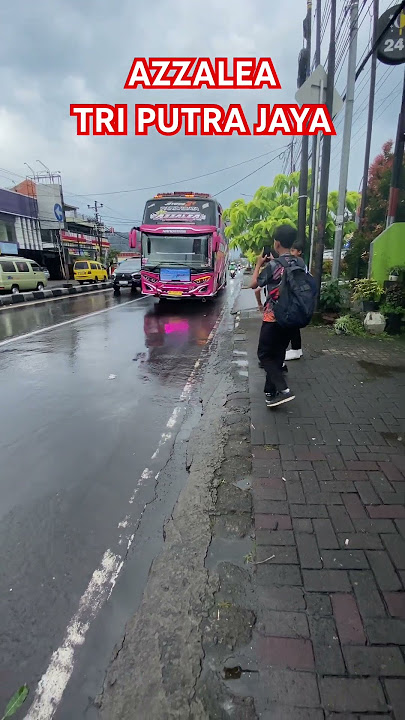 BUS BASURI OM TELOLET OM“AZZALEA”TRI PUTRA JAYA #azzalea #basuritelolet #omteloletom #toleletbasuri