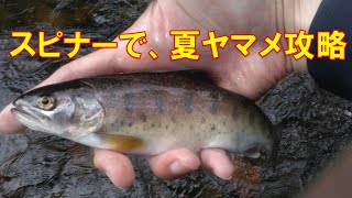 スピナーで、夏ヤマメ攻略【渓流釣り】