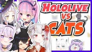 Hololive Members Getting Bullied by Cats [Compilation]