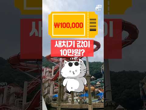 워터파크 줄 안서는 법 