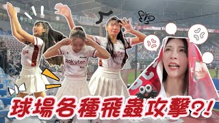 樂天女孩 合體 日本女子偶像團體 FES☆TIVE 同場應援！但桃猿球場卻遭遇蟲蟲危機！若潼自創驅蟲舞！？【陸筱晴】