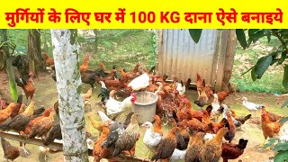 Murgiyo k liye ghar mey 100 KG dana aise banayiye(Home made feed for local chicken)