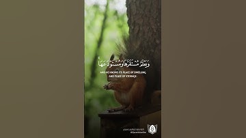 #تلاوة من #سورة_هود بصوت #ابراهيم_العسيري #قران #قرآن_كريم #آيات #استغفرالله #الحمدلله #quran
