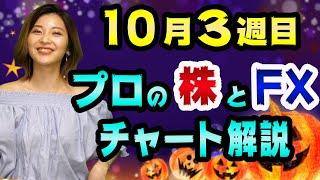 FXドル円と日経平均のチャート分析が、２ヶ月連続的中【稼ぐにはボリンジャーバンドとMACDとトレンドラインを正しく見るだけ】