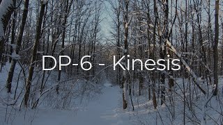 DP-6 - Kinesis