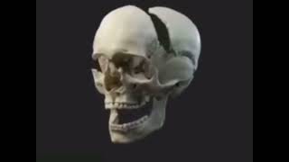 Skull explosion