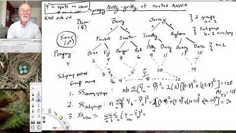 Lesson33 Nitty Gritty of Nested ANOVA