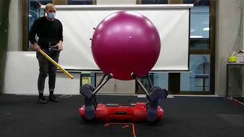 Circus ANYmal: Quadruped Robot Learns New Trick