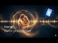 Nene To Co Prawdziwe Deep House 2026 Official Audio