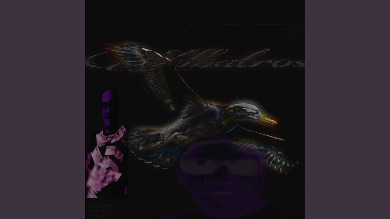 Watch Albatros on YouTube Watch Albatros on YouTube