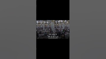 تلاوة تحبيريه لشيخ عبدالله القرافي من سورة الحجرات