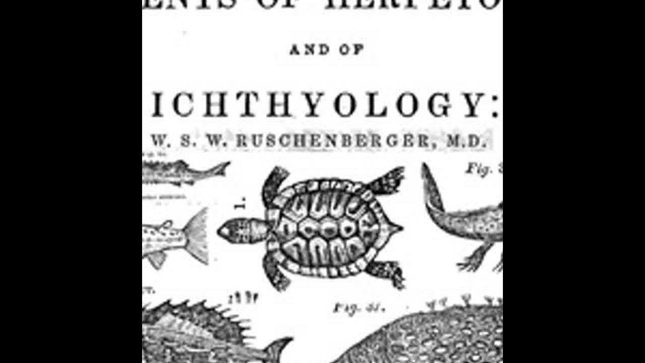 Герпетология 2 гельминтология 3 ихтиология 4 энтомология. Герпетология. Ихтиология книга. Ichthyology & herpetology. Герпетология это наука.