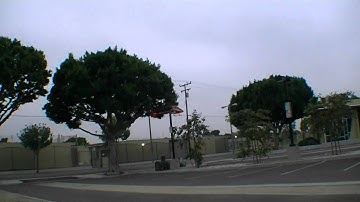 Tarot zyx DFC low profile fbl exi 450 pro nose in breakfast